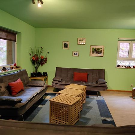 Ferienhaus Route 5 Elmstein Ngoại thất bức ảnh